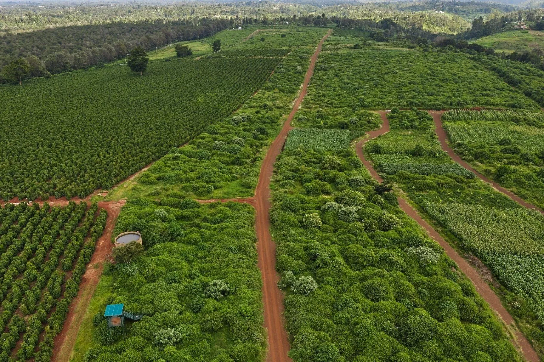 Zuri Springs — Infrastructure Works — project photo